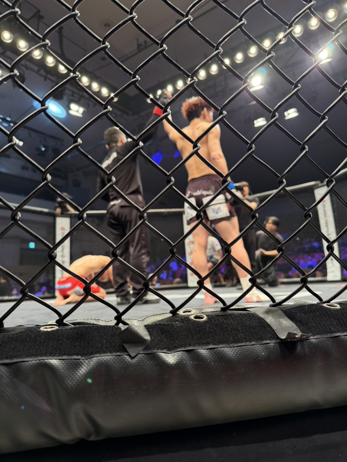 船橋のパーソナルジム「FUNABASHI INSTITUTE（船橋 インスティチュート）」のトレーナーが格闘技の試合に出場した様子